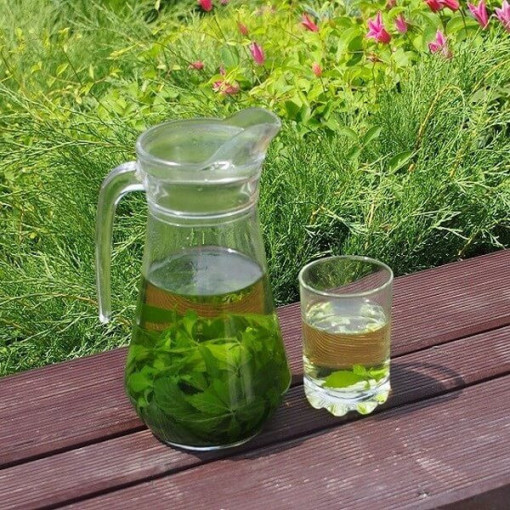 Herbe de longévité - Jiaogulan Gynostemma P9/C1