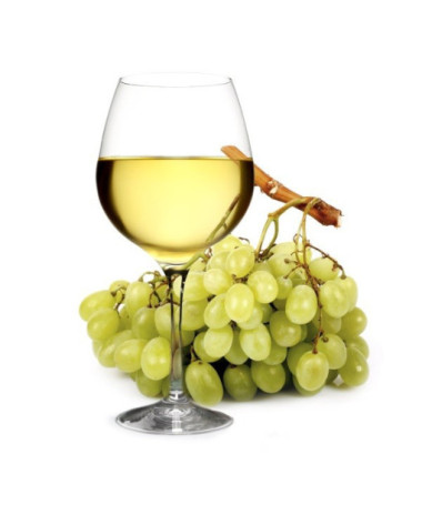 Vigne 'Syriusz' P9/C1