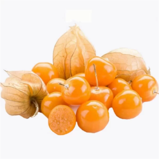 Physalis (Amour en cage / Coqueret du Pérou) C2